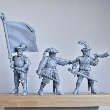 Swiss Mercenaries Command , early 16th C,  28mm, Renaissance, Swiss Confederacy